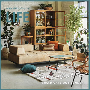 特集 | Living with plants 植物と暮らす