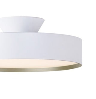 縁は上品でシックなシャンパンゴールド。