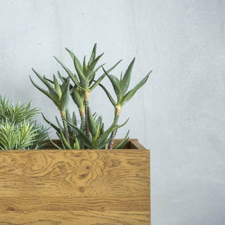 グリット プランター