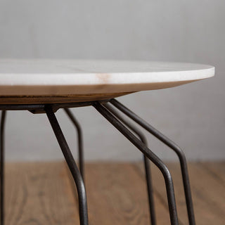 横から見ると筋が重なったような特有の模様になっています。