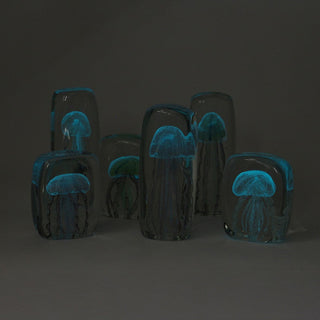 クラゲ部分には一部蓄光素材が使用されているので暗い場所でほんのりと光ります