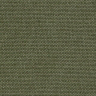 キャンバス グリーン