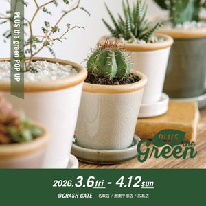 3店舗限定｜『PLUS the green』POP UP開催！