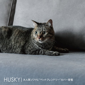 HUSKY | 大人気ソファに”ペットフレンドリー”カバー登場