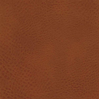 カインベンチ 肘無