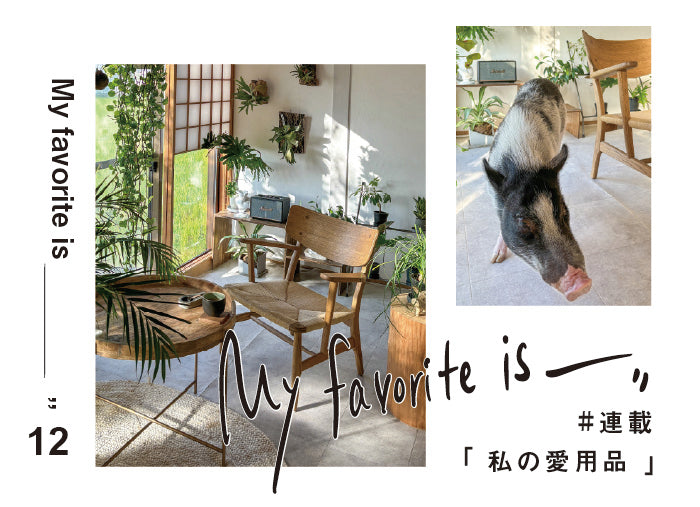連載 ｜ 私の愛用品 No.12