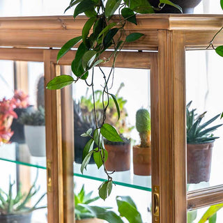 杉古材の柔らかな雰囲気は植物との組み合わせも◎