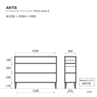 アンティス オープンシェルフ 幅125cm
