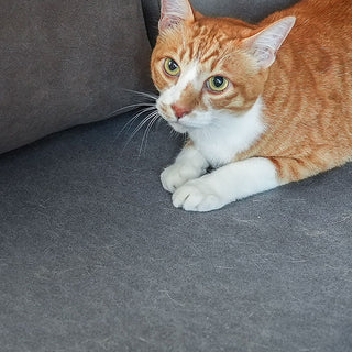 ハスキー 3人掛けソファ 専用 カバー