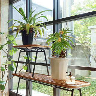 観葉植物や雑貨を飾るディスプレイ台としても活躍。